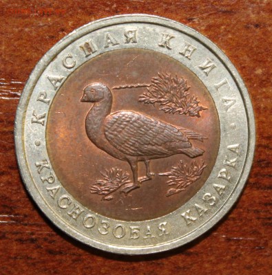 10 р. 1992г. Красная книга: Казарка до 13.05.16 - 33.JPG