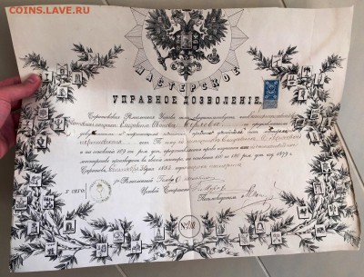 Грамота на мастера портного дела 1883 годъ. До 17 мая в 22ч. - 1