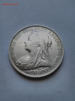 Крона 1897, Виктория (лот 204) - IMG_20160402_104315