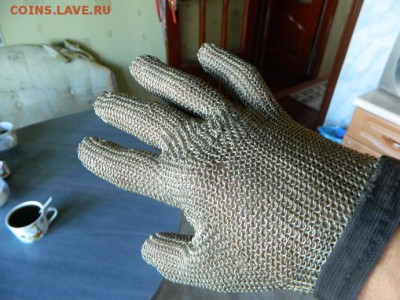 Перчатка рыцаря - DSCN7967.JPG