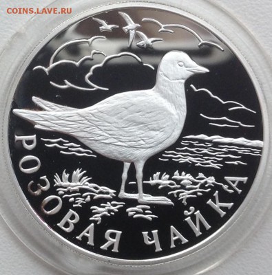 Розовая чайка 1 рубль 1999 до 22.00 13.05.2016 короткий - image