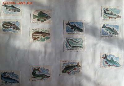 С 1 РУБЛЯ - спичечные этикетки (около 9ООшт.) до 15.05 - 20160510_173934