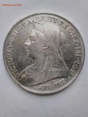 Крона 1899, Виктория (лот 206) - IMG_20160402_105356