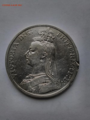 Крона 1890, Виктория (лот 201) - IMG_20160402_101353