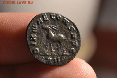 Рим.Галлиен 253-268 - CSC_0779 (1).JPG