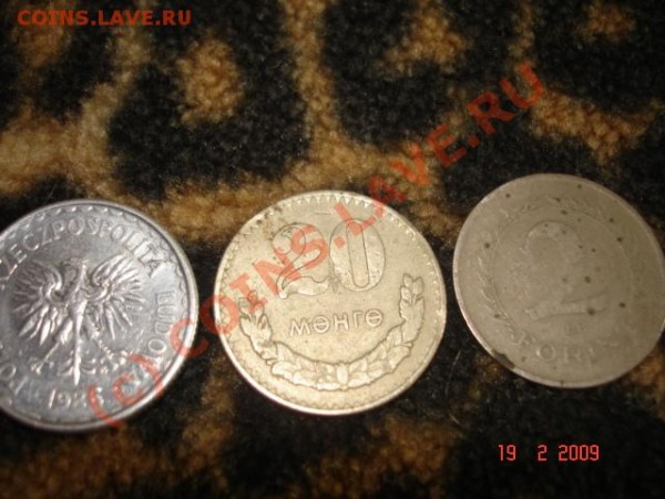 Иностранные монеты! Оцените! - DSC00018.JPG