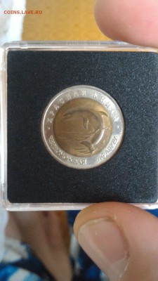 Красная книга 91-94 UNC в планшете - 0hqfKkPENIQ