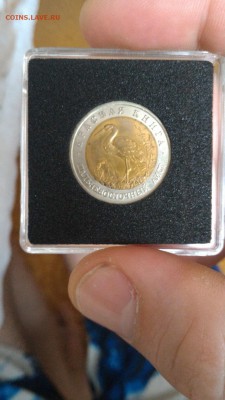 Красная книга 91-94 UNC в планшете - CuE3gVGANyk