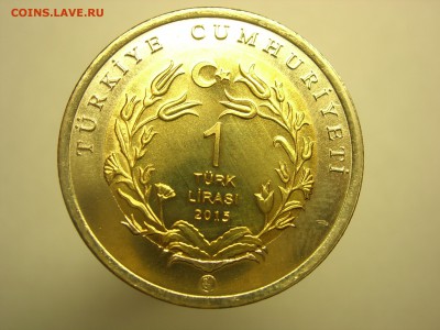 Турция 1 лира Азиатский муфлон 2015 - DSCN8449.JPG