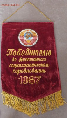 ВЫМПЕЛЫ ДЛЯ ЗНАЧКОВ!!!! - DSCF6386