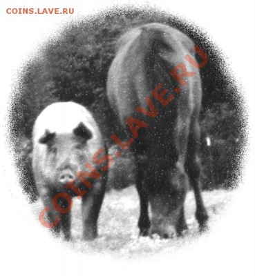 РФПЛ 2009! - pig_horse