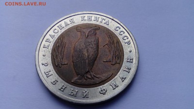 кк 1991 филин  до 22.05.2016 в 22:30 - IMG_20160516_134741