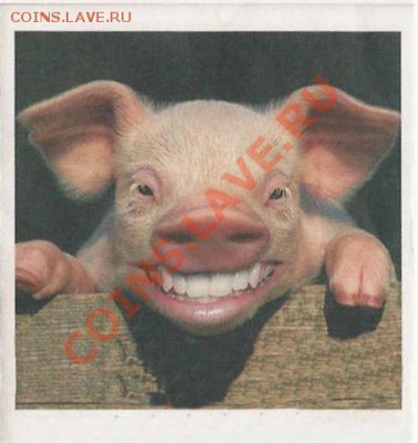 РФПЛ 2009! - smile