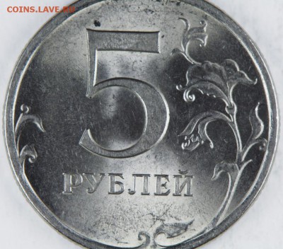 Вопросы по разновидам от kingsaiz9 - IMGP3763.JPG