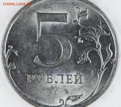 Вопросы по разновидам от kingsaiz9 - IMGP3768.JPG