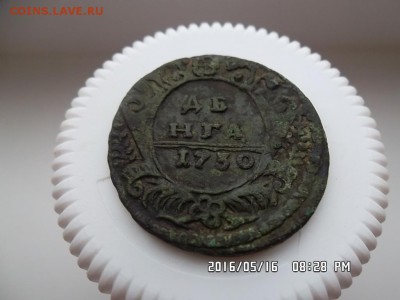 денга 1730 года. орел с остями - SAM_3615.JPG