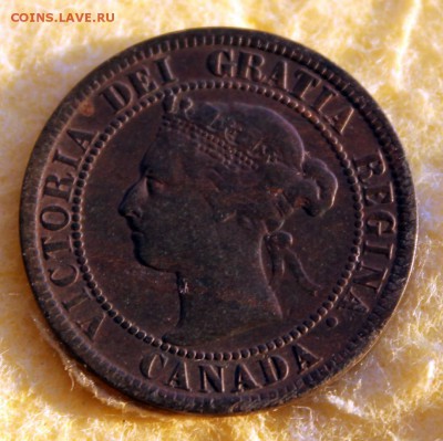 1 cent 1894 год Канада. Оценка - IMG_0248.JPG