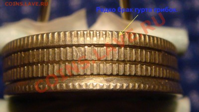 Брак гурта "ГРИБОК"  (и ещё +3 монеты) до 20-00 15.11.2010 - DSC05672.JPG