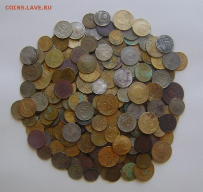250 ШТ РАННИЕ СОВЕТЫ (на чистку и опыты)-до 20.05.16г в22.00 - DSC02286.JPG