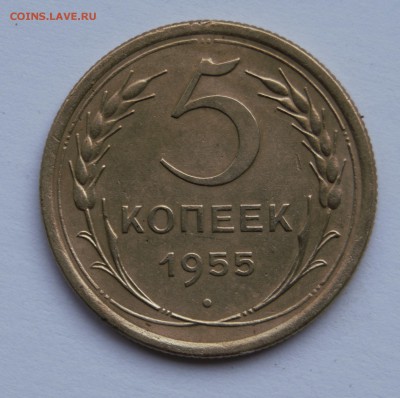 5 копеек 1955г хорошая - _DSC8511