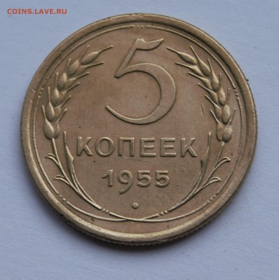 5 копеек 1955г хорошая - _DSC8510
