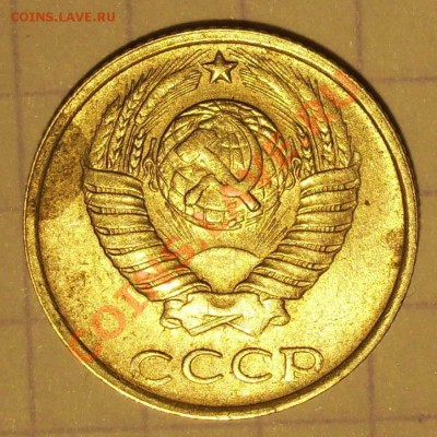 вторая - 8нояб 005