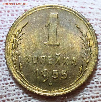 1 копейка 1955 со штемпельным блеском - DSCN6758.JPG