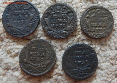 Поушки 1730,31,34,35гг.  5шт. - DSCN0999.JPG