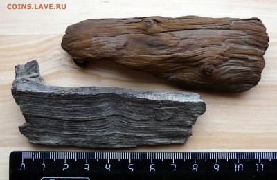 2 куска окаменелого дерева. до 23.05 - P1130156.JPG