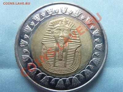 С РУБЛЯ Биметалл 1 фунт ЕГИПЕТ  до 15.11.10 в 22-00 - MEMO0031.JPG