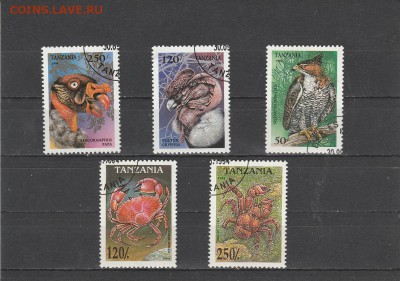 Птицы и Крабы (Танзания) до 20.05 в 22.00 - IMG_20160518_0007