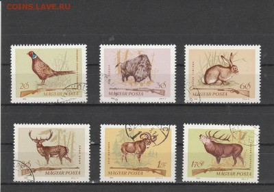 Фауна (Венгрия) до 20.05 в 22.00 - IMG_20160518_0013