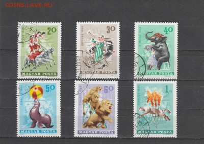 Цирк (Великобритания) до 20.05 в 22.00 - IMG_20160518_0014