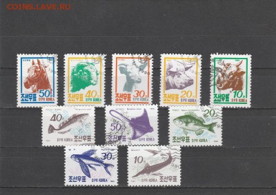 Фауна (Корея) до 20.05 в 22.00 - IMG_20160518_0020