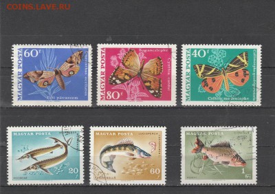 Бабочки и рыбы (Венгрия) до 20.05 в 22.00 - IMG_20160518_0025