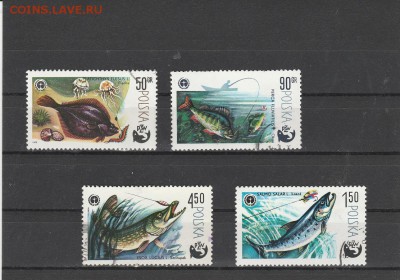 Рыбы (Польша) до 20.05 в 22.00 - IMG_20160518_0031