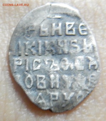 Подскажите по чешуе - DSCN7567.JPG
