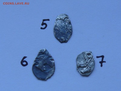 7 чешуек на определение - P4.JPG