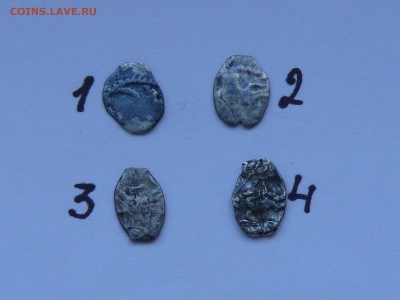 7 чешуек на определение - P2.JPG