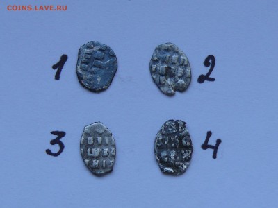7 чешуек на определение - P1.JPG