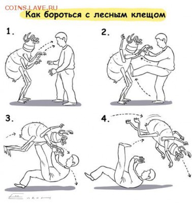 События на Украине. - 0 TY42