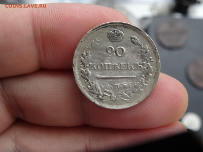 20 копеек 1819 ПС ХОРОШИЕ!!! до 26.05 до 22.00 - DSC07440-min.JPG