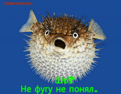 События на Украине. - IMG_20160521_045620