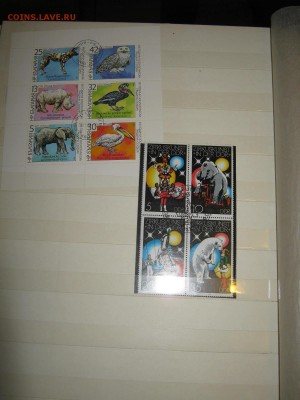 2 альбома с марками оценка - IMG_3909.JPG