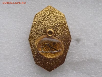 знаки техникумов,до 23.05 в 22.00мск - 5а.JPG