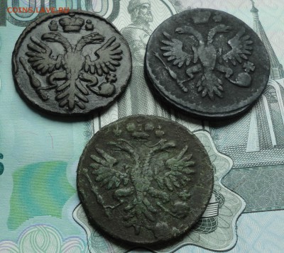 Денга 1731,34,37 года. До 23.05.16. - DSC04918.JPG