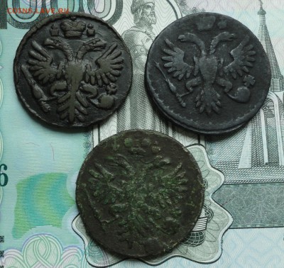 Денга 1731,34,37 года. До 23.05.16. - DSC04916.JPG