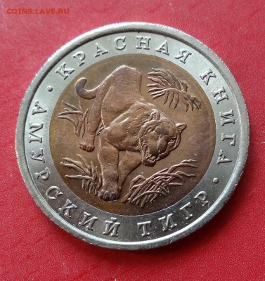 Россия 1992 Красная книга Тигр до 22.05.16 22-00 - DSC00235.JPG