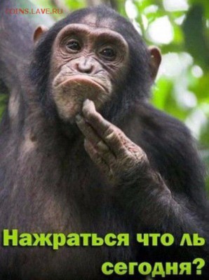 делает - прямо сейчас !!! - 3zTh-ibfX1Q