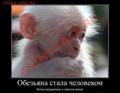 юмор - 5